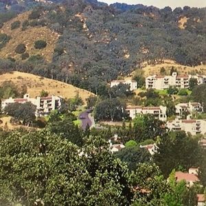 Meet your Posher, Lydia